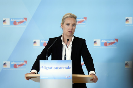 Fraktionssitzung der AfD-Bundestagsfraktion in Berlin