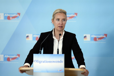 Fraktionssitzung der AfD-Bundestagsfraktion in Berlin