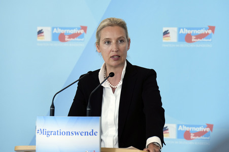 Fraktionssitzung der AfD-Bundestagsfraktion in Berlin