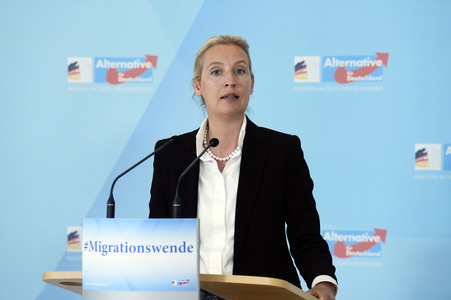 Fraktionssitzung der AfD-Bundestagsfraktion in Berlin