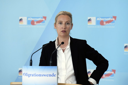 Fraktionssitzung der AfD-Bundestagsfraktion in Berlin