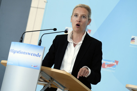 Fraktionssitzung der AfD-Bundestagsfraktion in Berlin