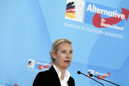 Fraktionssitzung der AfD-Bundestagsfraktion in Berlin