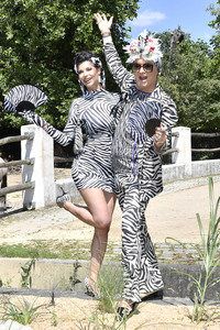 Ehrenpatenschaft von Julian F.M. Stoeckel für die Grevy-Zebras im Zoologischen Garten Berlin