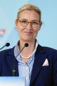 Fraktionssitzung der AfD-Bundestagsfraktion in Berlin