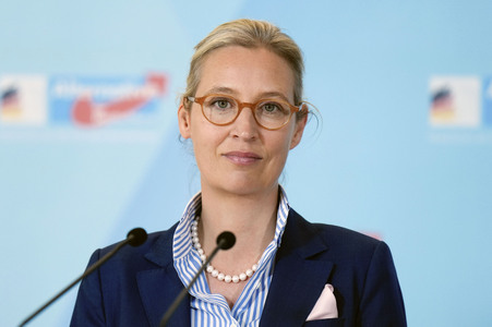 Fraktionssitzung der AfD-Bundestagsfraktion in Berlin