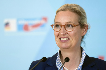 Fraktionssitzung der AfD-Bundestagsfraktion in Berlin