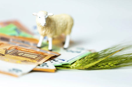 Symbolfoto Agrarsubvention