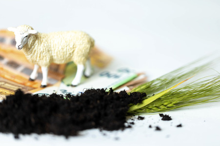 Symbolfoto Agrarsubvention