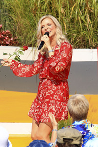 TV Show 'Immer wieder sonntags' in Rust