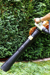 Symbolfoto Hecke schneiden