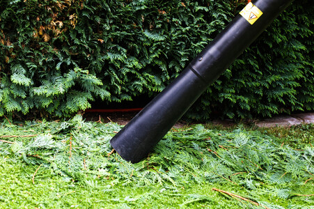 Symbolfoto Hecke schneiden