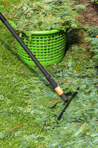 Symbolfoto Hecke schneiden