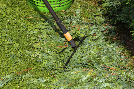 Symbolfoto Hecke schneiden