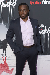 Filmpremiere 'The Thicket' in Los Angeles