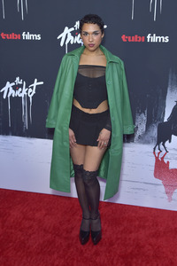 Filmpremiere 'The Thicket' in Los Angeles