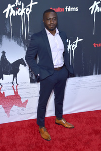 Filmpremiere 'The Thicket' in Los Angeles