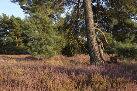 NATURE ART: Heidebäume / Heath Tress Bodypainting