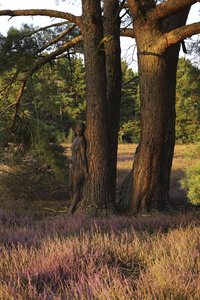 NATURE ART: Heidebäume / Heath Tress Bodypainting