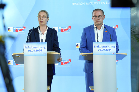 Fraktionssitzung der AfD-Bundestagsfraktion in Berlin