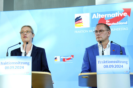 Fraktionssitzung der AfD-Bundestagsfraktion in Berlin