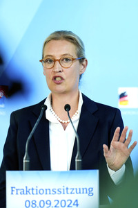 Fraktionssitzung der AfD-Bundestagsfraktion in Berlin