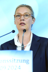 Fraktionssitzung der AfD-Bundestagsfraktion in Berlin