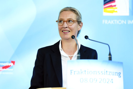 Fraktionssitzung der AfD-Bundestagsfraktion in Berlin