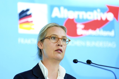 Fraktionssitzung der AfD-Bundestagsfraktion in Berlin