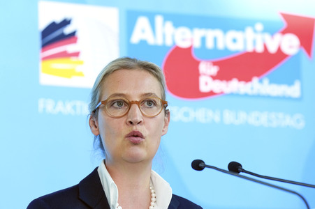 Fraktionssitzung der AfD-Bundestagsfraktion in Berlin