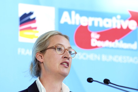 Fraktionssitzung der AfD-Bundestagsfraktion in Berlin