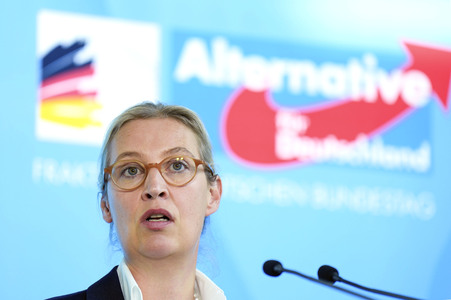 Fraktionssitzung der AfD-Bundestagsfraktion in Berlin