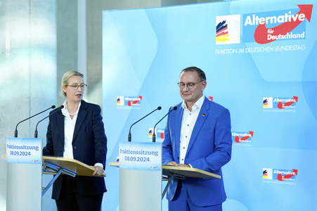 Fraktionssitzung der AfD-Bundestagsfraktion in Berlin