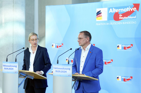 Fraktionssitzung der AfD-Bundestagsfraktion in Berlin