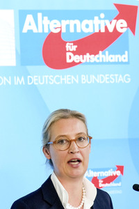 Fraktionssitzung der AfD-Bundestagsfraktion in Berlin