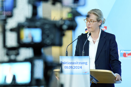 Fraktionssitzung der AfD-Bundestagsfraktion in Berlin