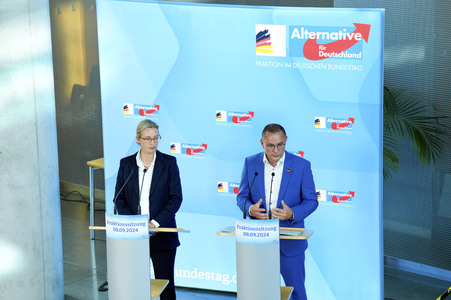 Fraktionssitzung der AfD-Bundestagsfraktion in Berlin