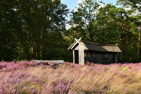 NATURE ART: Lila Heide / Purple Heather Bodypainting