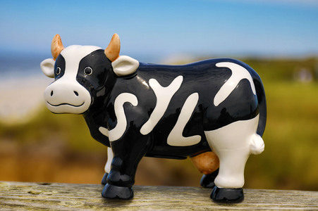 Symbolfoto Sylt
