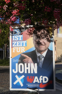 Wahlplakate in Bernau bei Berlin