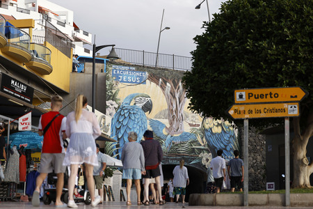 Sightseeing Los Cristianos