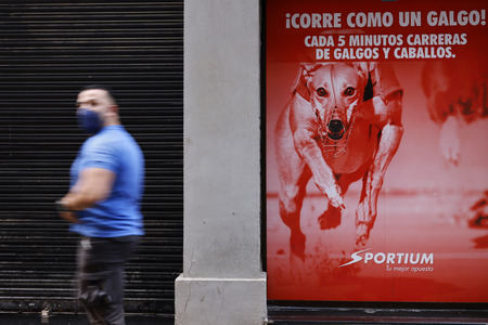 Symbolfoto Hunderennen