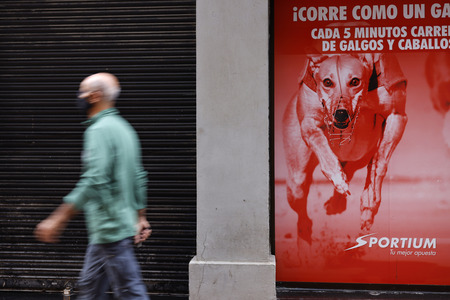 Symbolfoto Hunderennen