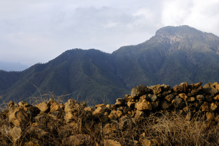 Sightseeing La Palma