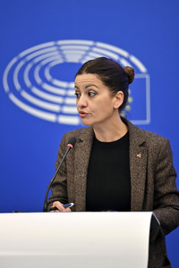 Pressekonferenz im Europäischen Parlament in Straßburg