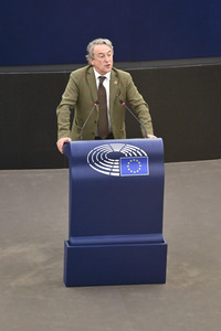 Plenartagung im Europäischen Parlament in Straßburg