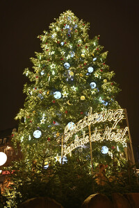 Weihnachtsmarkt in Straßburg