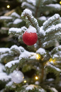 Symbolfoto Weihnachtsbaum