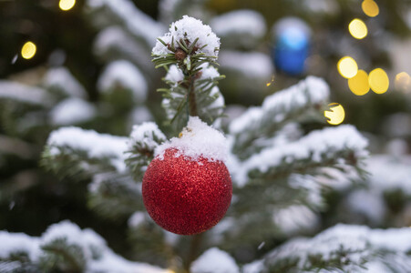 Symbolfoto Weihnachtsbaum