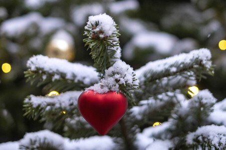 Symbolfoto Weihnachtsbaum